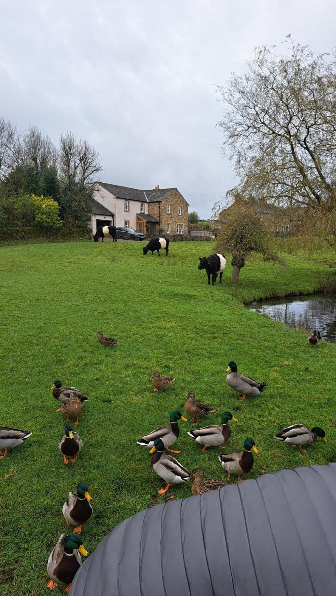 Church House Barn Lake District & Solway Coast With Solway Firth Views Silloth Extérieur photo
